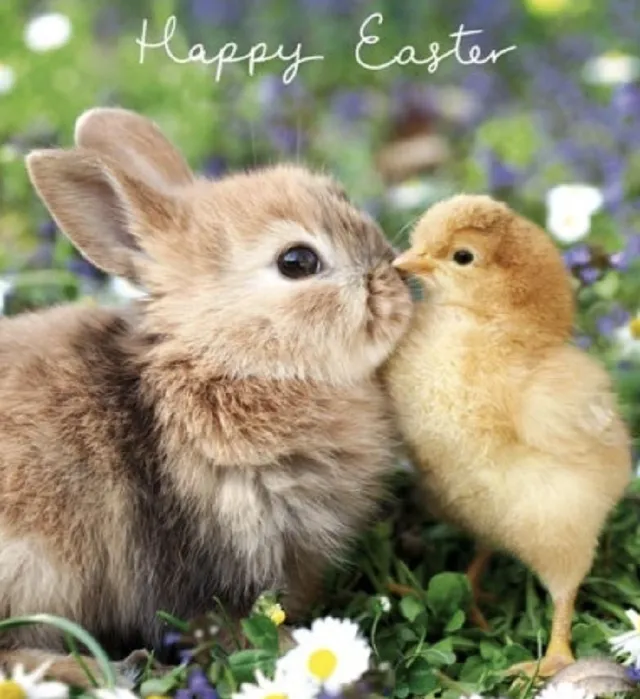 Good morning and Happy Easter everyone 😊 😀