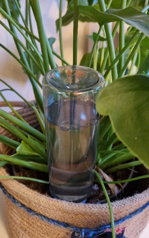 Originally Micellar Water bottle , now used as Drip water